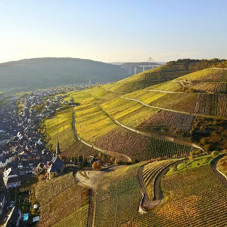 Bernkasteler Moselpanorama