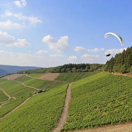 Bernkasteler Moselpanorama Apartamento *