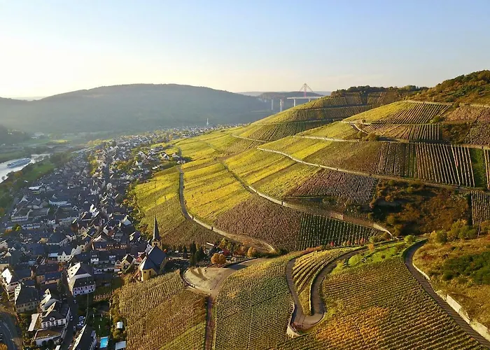 Bernkasteler Moselpanorama