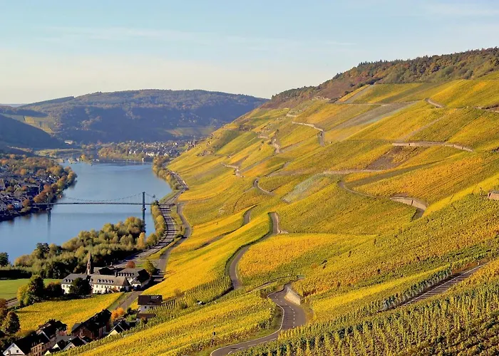 Bernkasteler Moselpanorama 아파트 베른카슈텔쿠에스