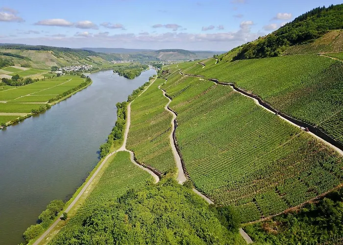 Bernkasteler Moselpanorama * Bernkastel-Kues