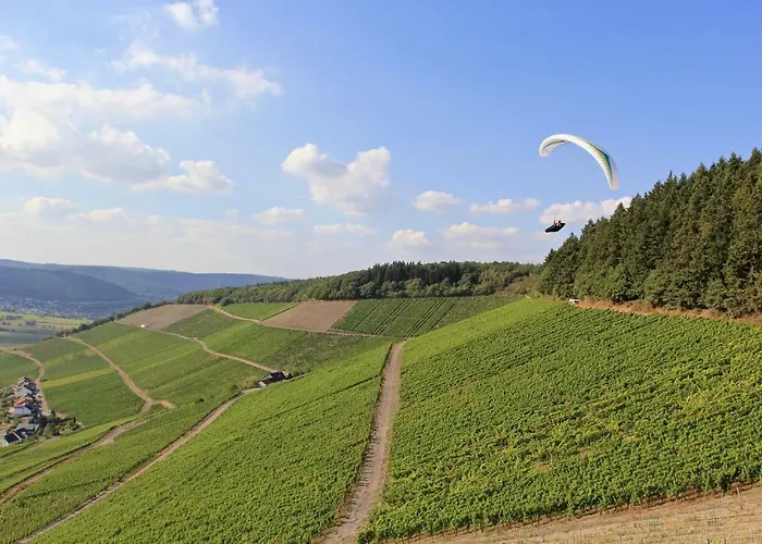 Bernkasteler Moselpanorama 아파트 *