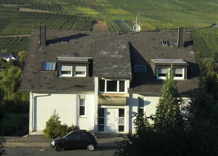 아파트 Bernkasteler Moselpanorama 베른카슈텔쿠에스